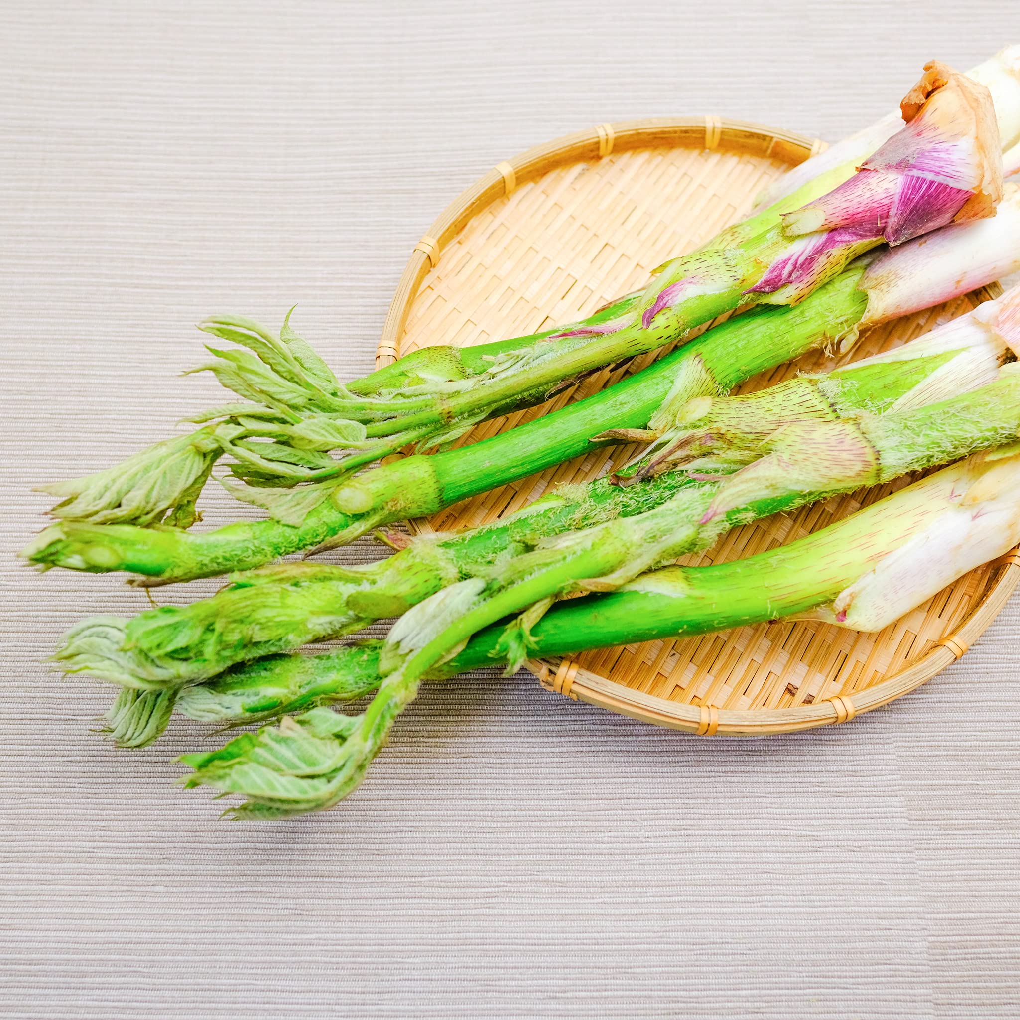 Amazon.co.jp: 山うど 約1kg ｜ 山ウド 山独活 山菜 天然物 長野県産